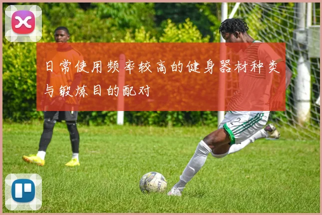 日常使用频率较高的健身器材种类与锻炼目的配对