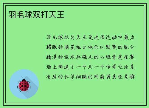 羽毛球双打天王
